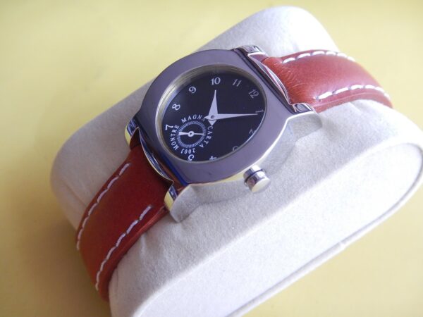 SOBRE MONTRE NEUVE MAGNA CARTA INCURVÉE SUPER QUALITE ACIER STOCK NEUF N.O.S.